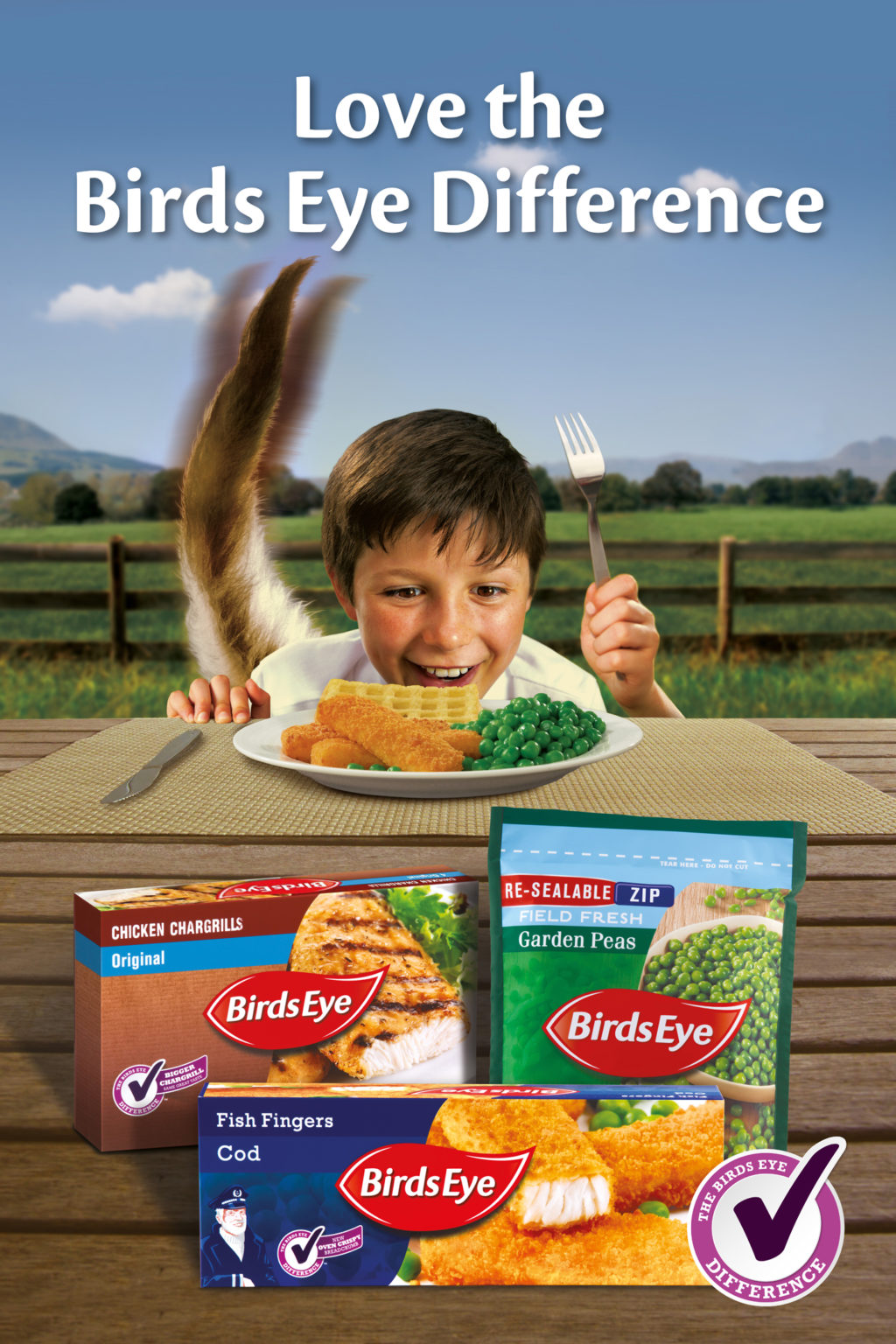 BIRDS EYE RELAUNCHES CORE ICONS — British Frozen Food Federation (BFFF)