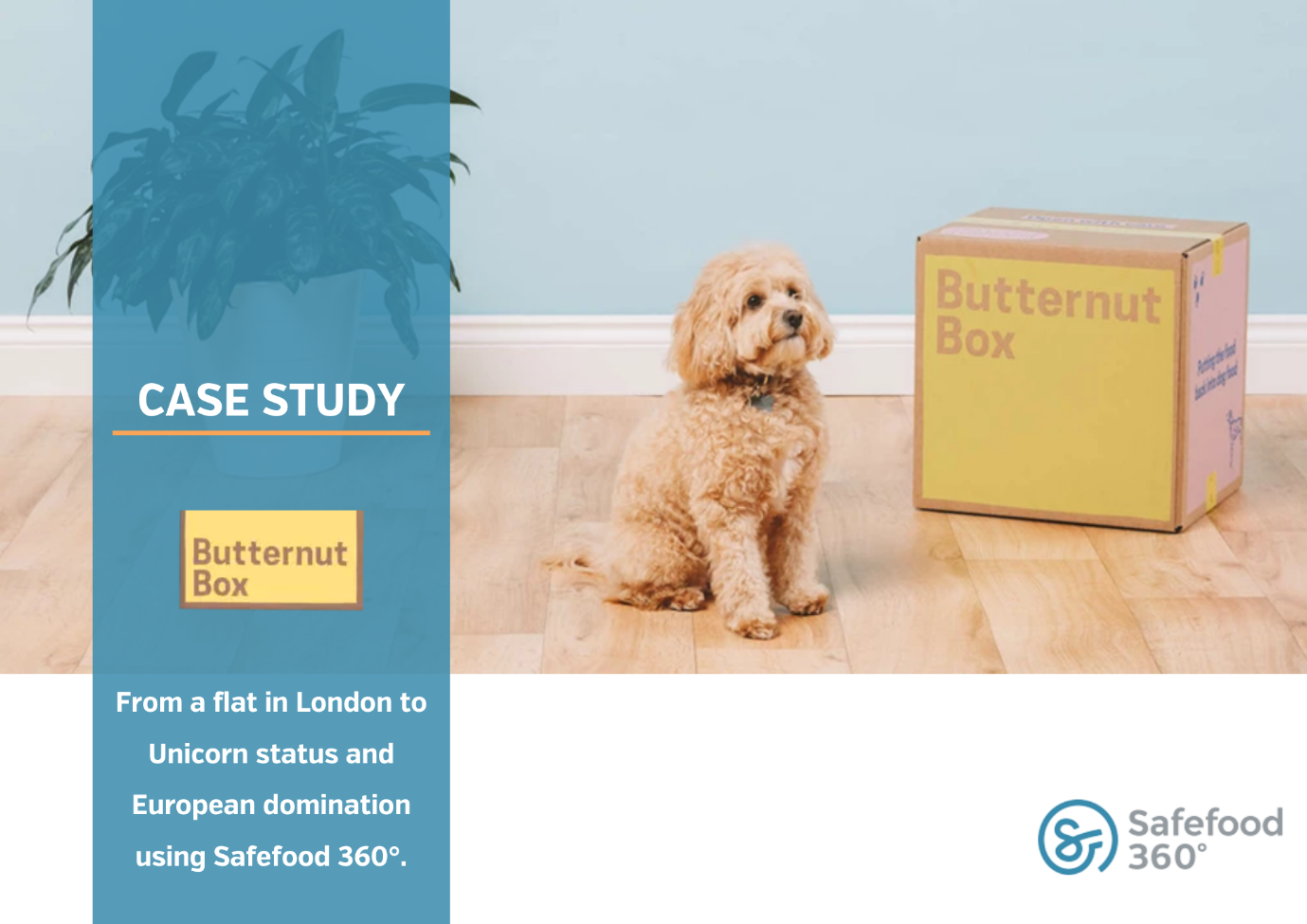 SAFEFOOD 360° CUSTOMER SUCCESS STORY: BUTTERNUT BOX CASE STUDY ...