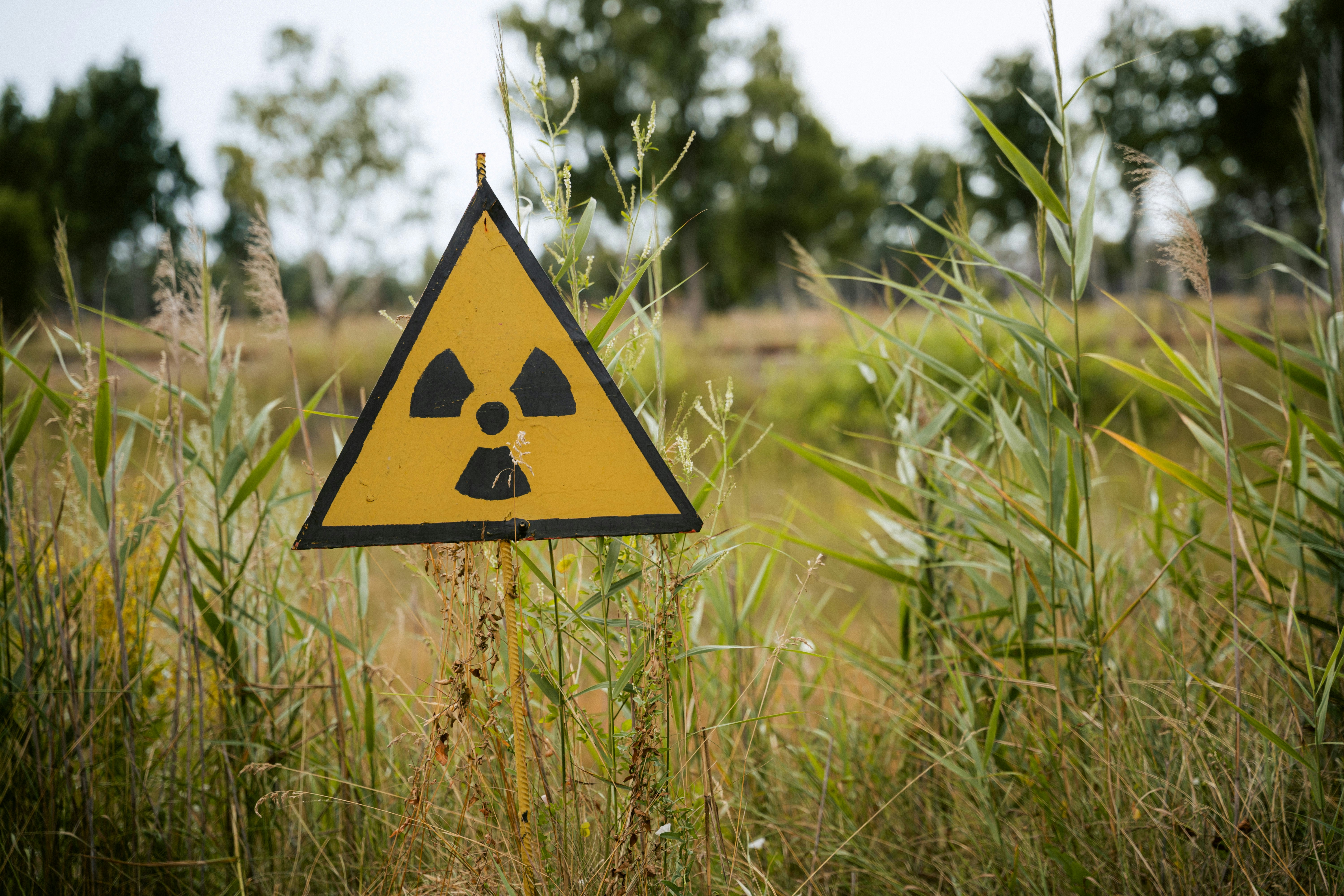 GOVERNMENT PUBLISH REPORT ON RADIOACTIVITY IN FOOD AND THE ENVIRONMENT