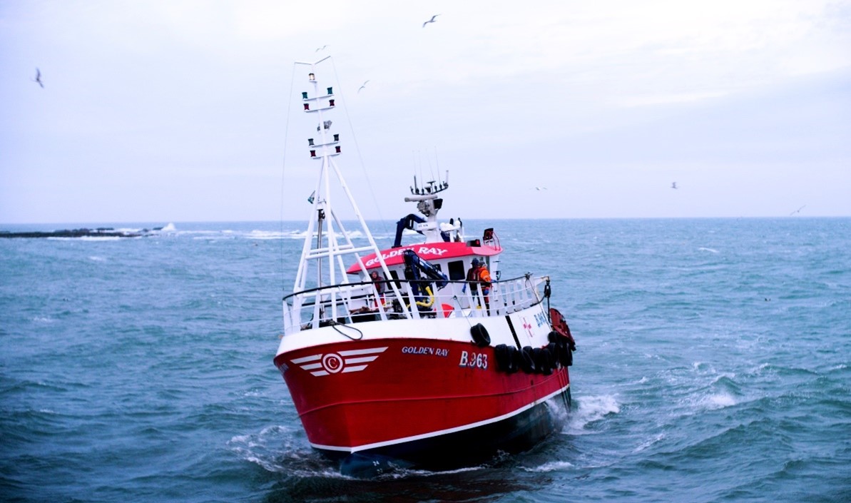 CONSULTATIONS OPEN ON FOUR NEW FISHERIES MANAGEMENT PLANS